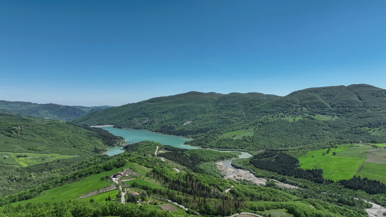 lagocamastra